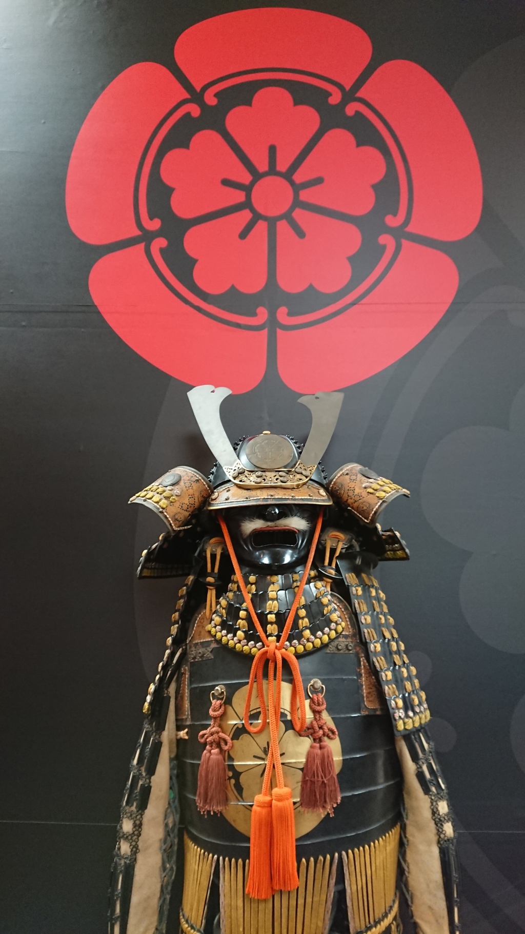織田木瓜