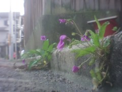 low angle #5