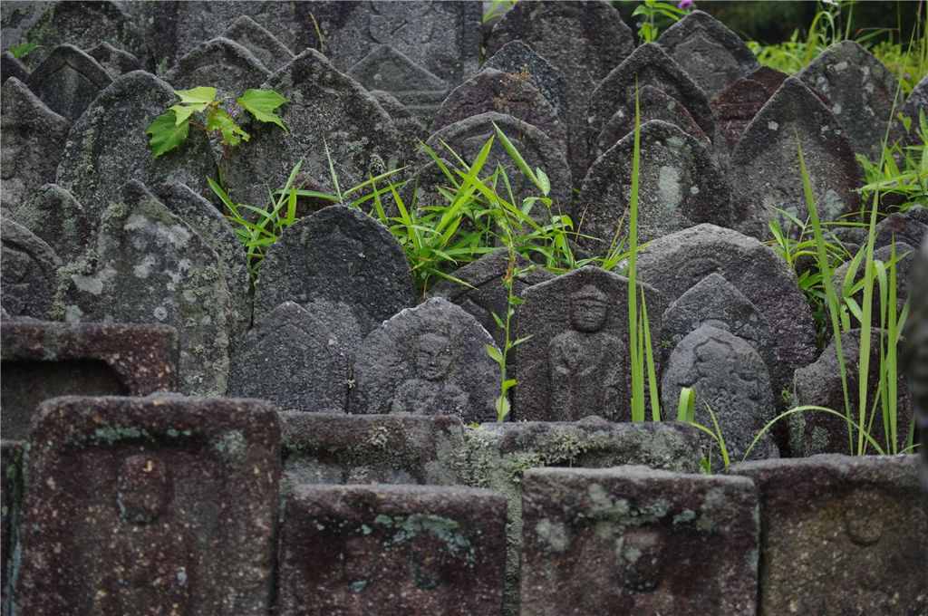 草むす