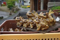 よう来たな
