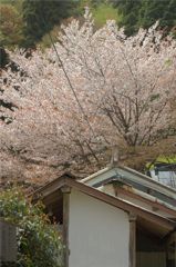 月輪寺　６