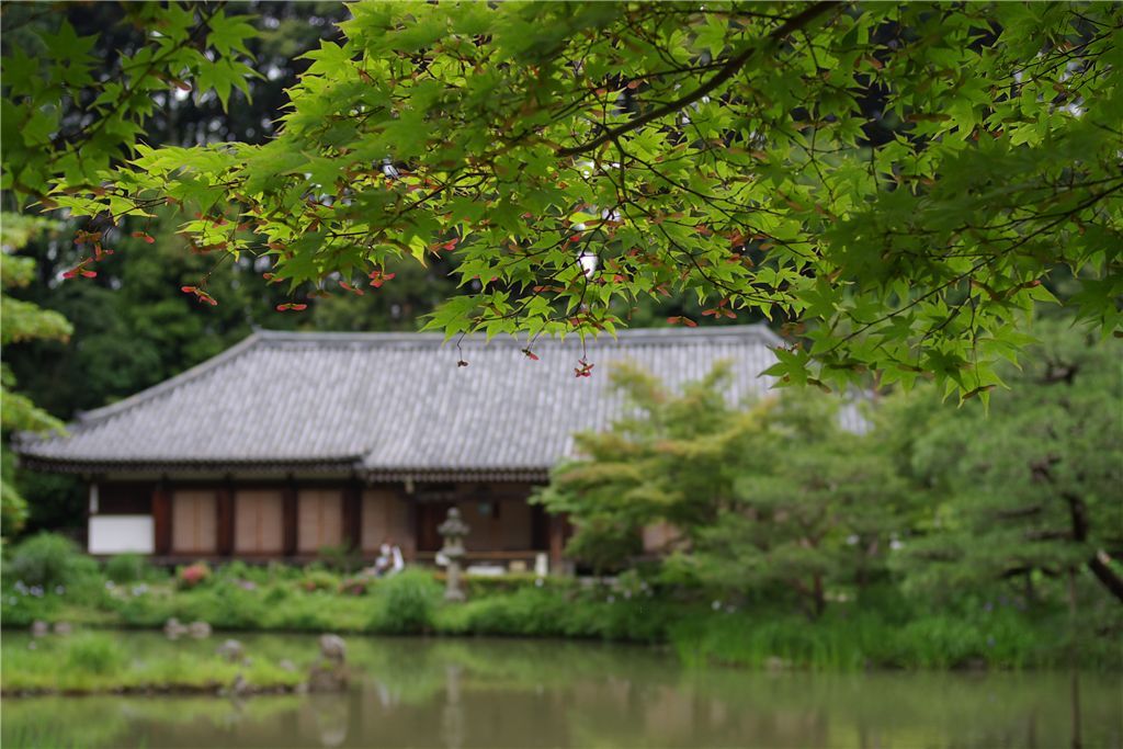 浄瑠璃寺・本堂