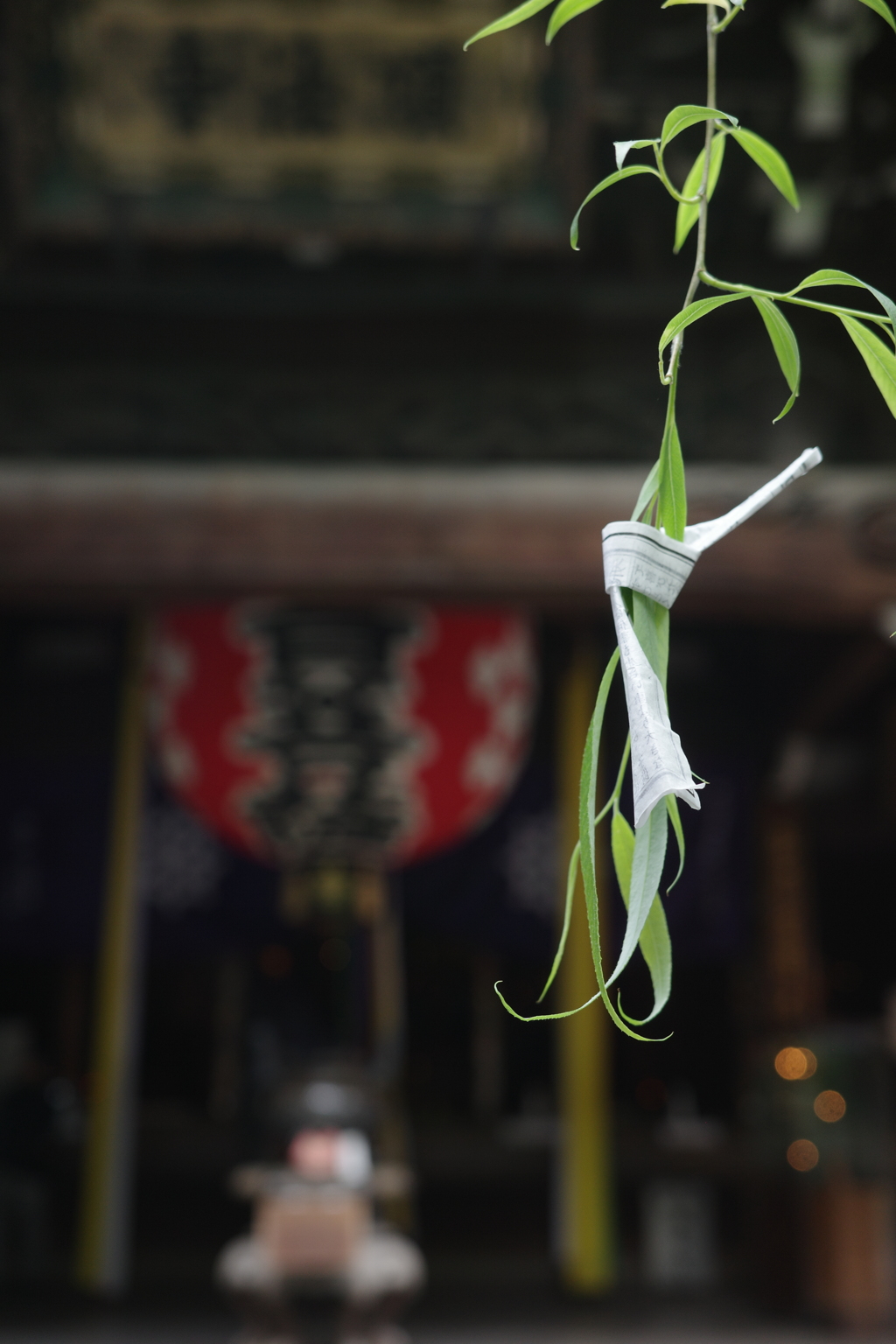 柳枝