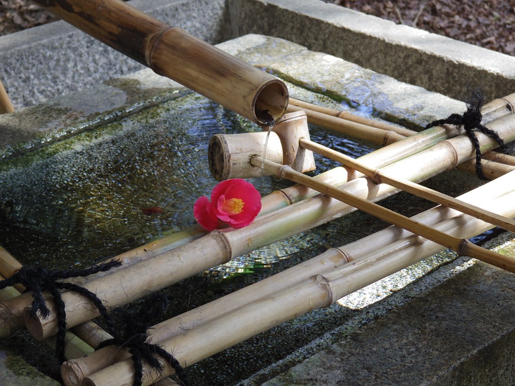 手水