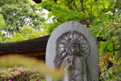 新緑の頃