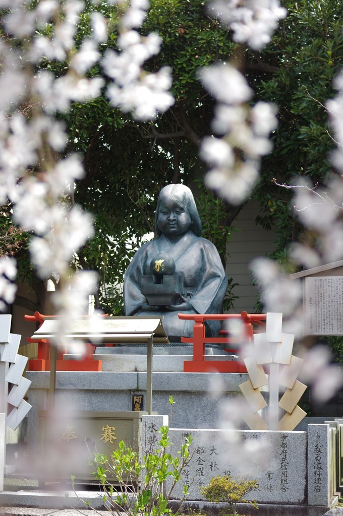 阿亀桜#3
