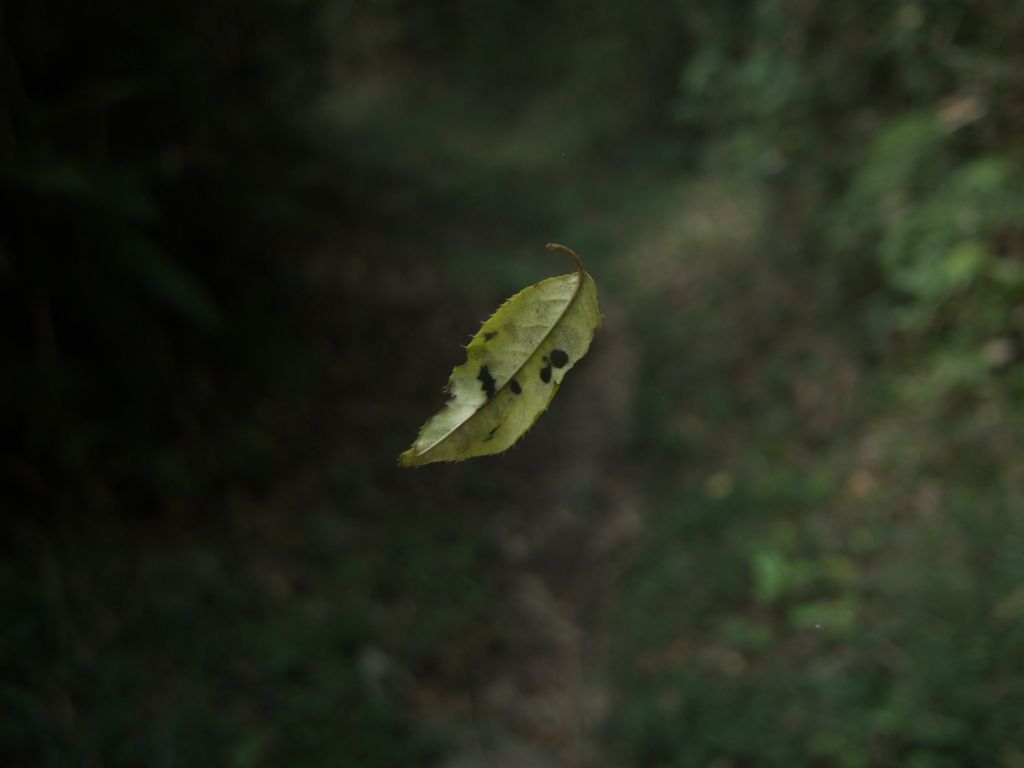 ん？