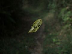 ん？