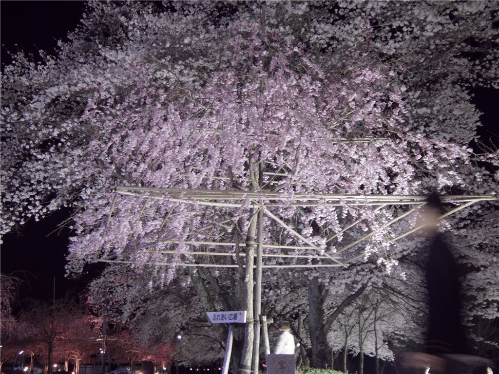 降るように