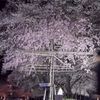 降るように