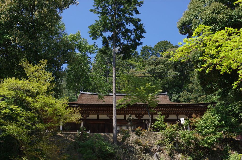 山のお寺#3