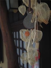 鬼灯