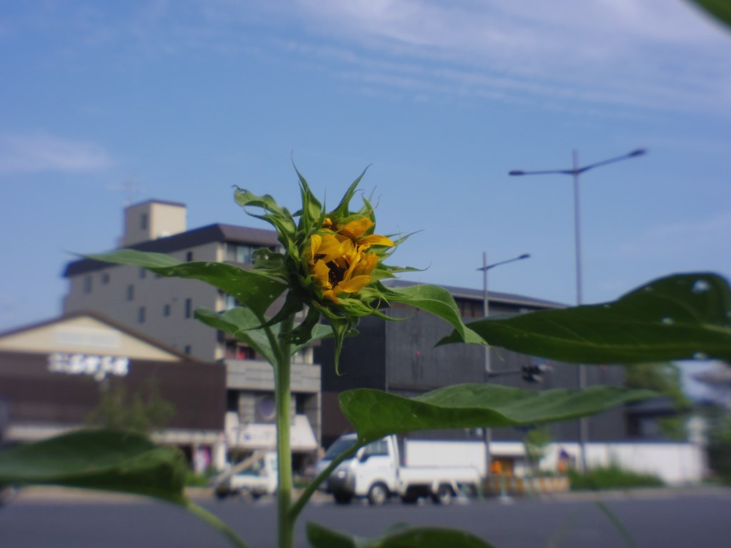 ん・・・もぅ朝？