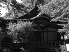 清滝宮・拝殿