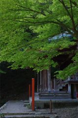 山のお寺#5