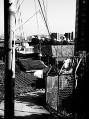 Mihara #4