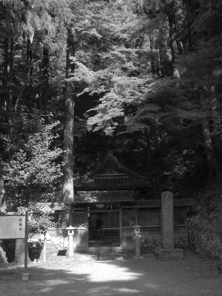 醍醐水