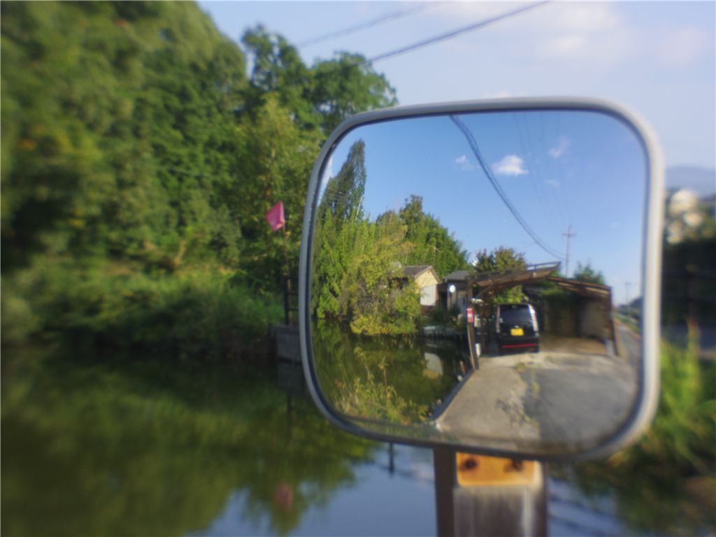 Through the looking glass