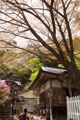 月輪寺　３
