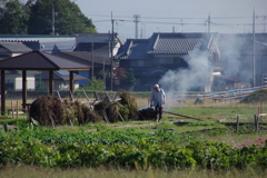 斑鳩秋景 #1