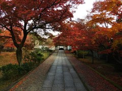 養源院