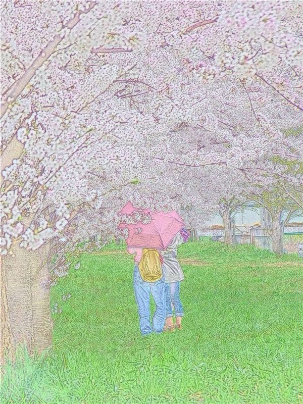 満開の桜の下で