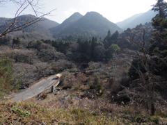 枯れ木も山の賑わい