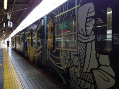 忍 Train