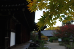 utsuroi