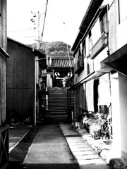Mihara #7