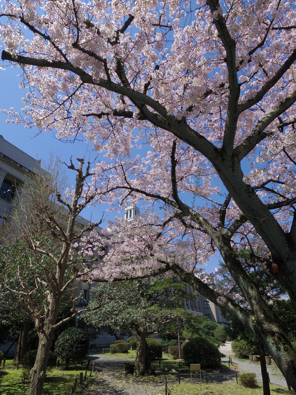 晴れの日#3