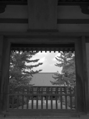 唐招提寺