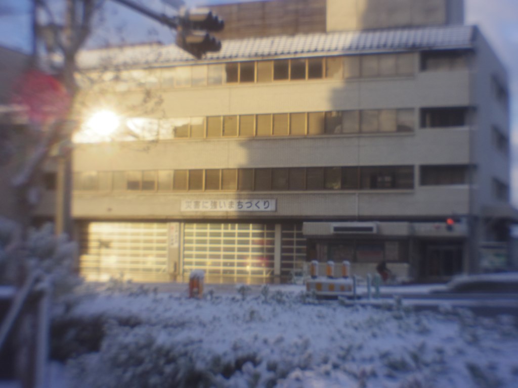 薄雪