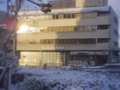 薄雪