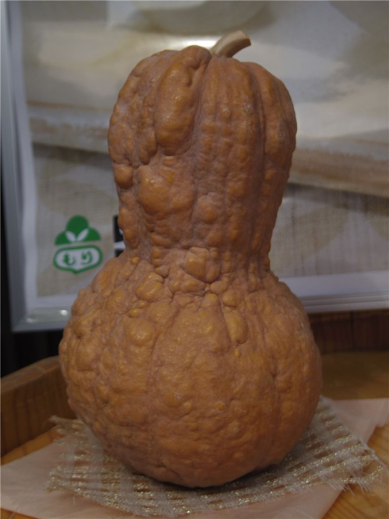 鹿ケ谷