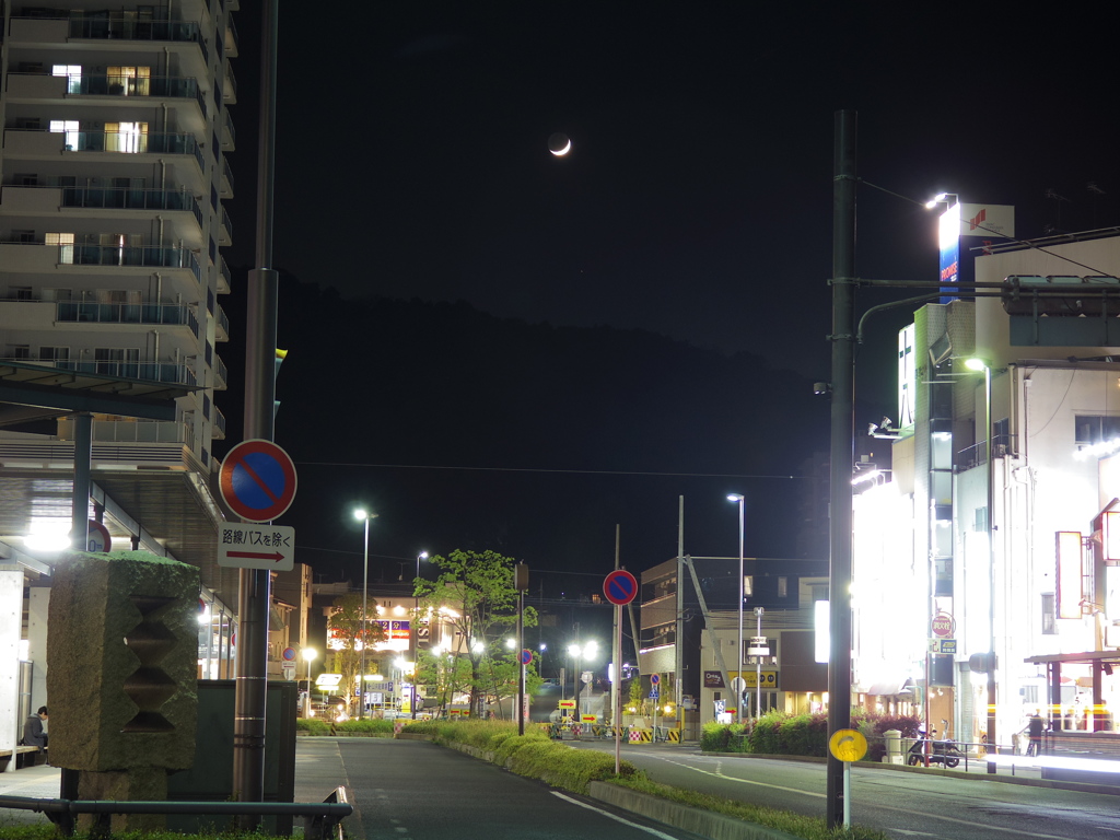 月の下で
