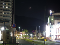 月の下で