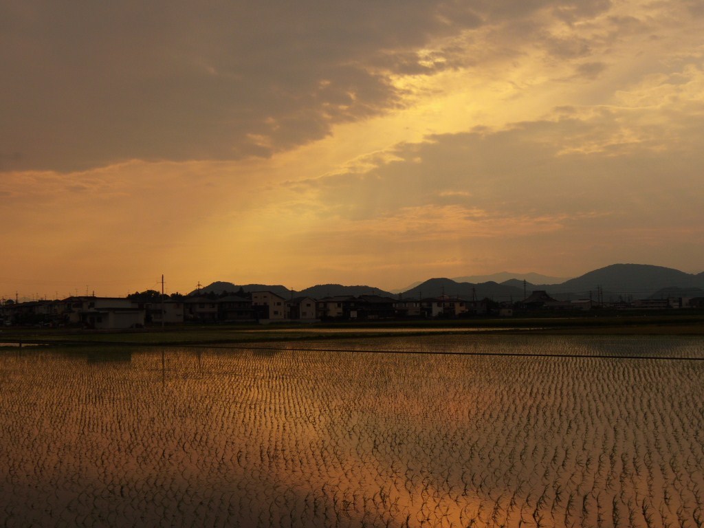 夕景