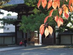 やわらぎ