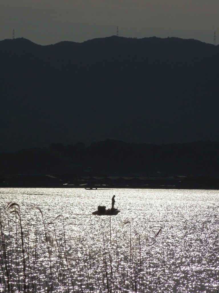 湖上に佇む