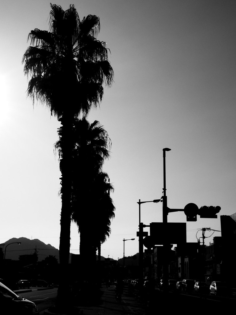 silhouette