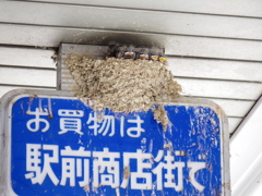 目が開いた！