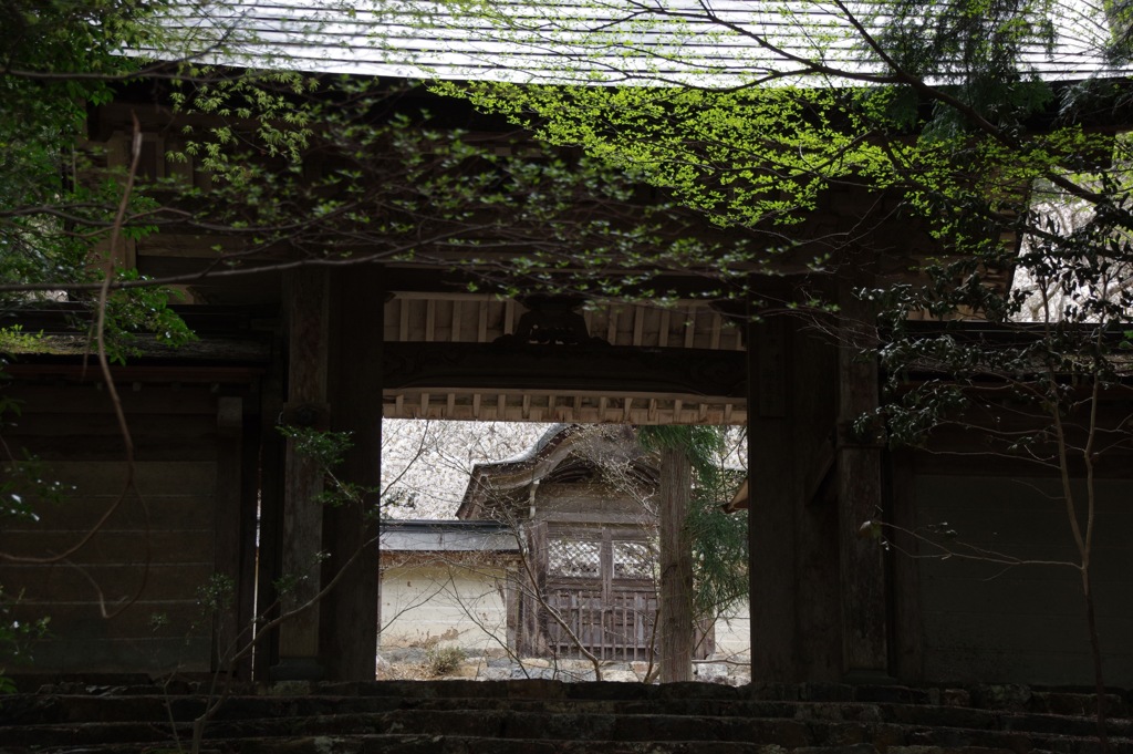 常照皇寺