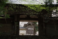 常照皇寺