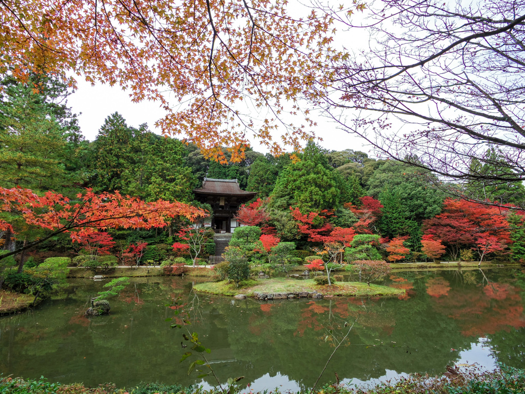 円成寺浄土庭園
