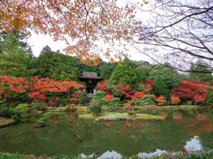 円成寺浄土庭園