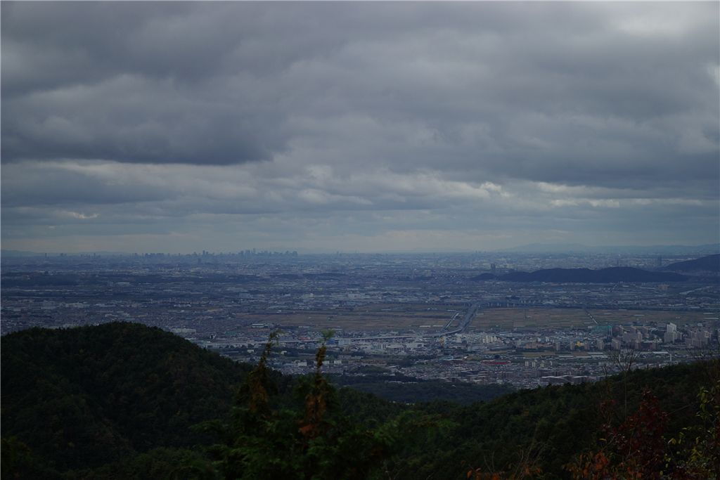 遥かに望む