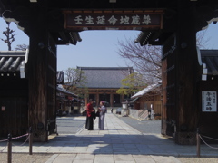 壬生寺にて