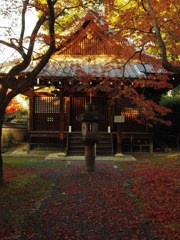新長谷寺