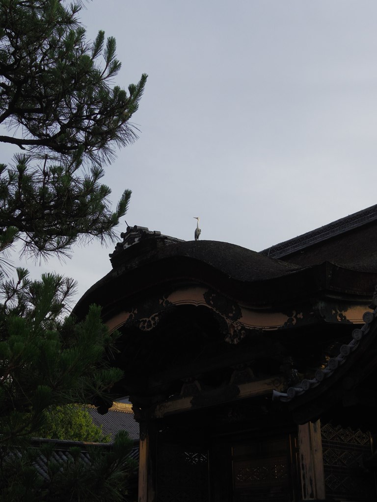 屹立